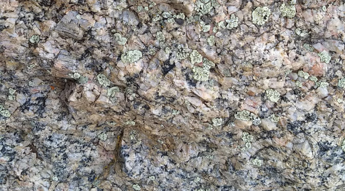 Granite with lichens